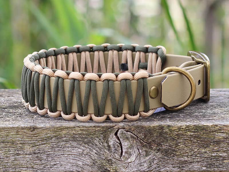Halsband Oldenburg
