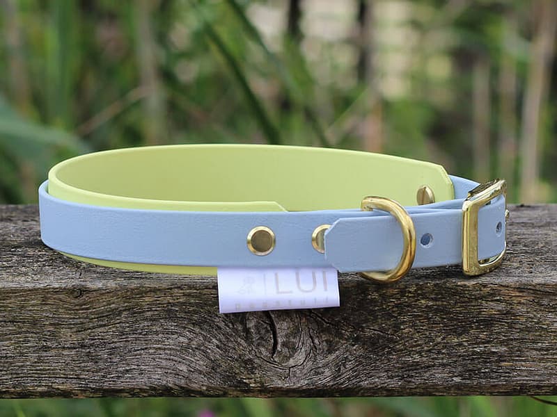 Halsband Timmendorfer Strand