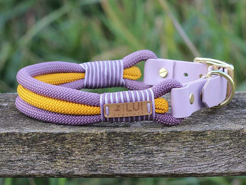 Halsband Kühlungsborn