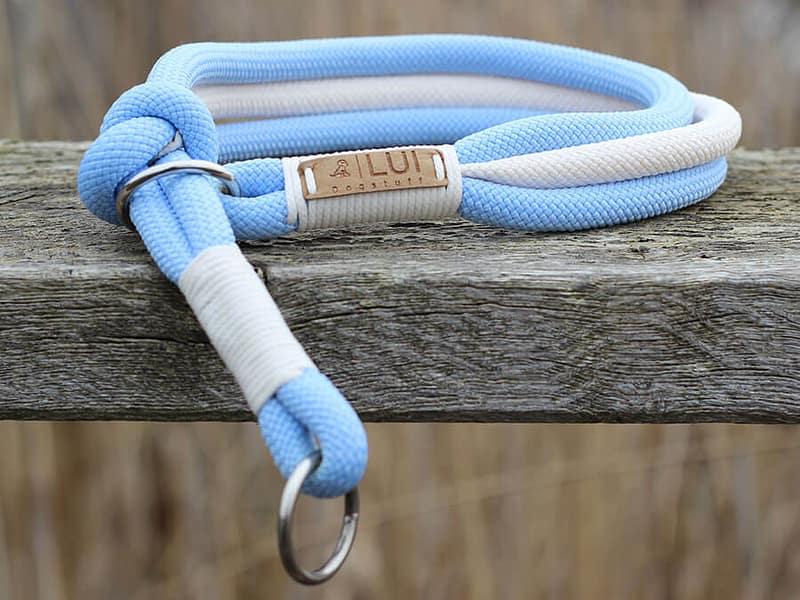 Retrieverhalsband Hemmelsdorf