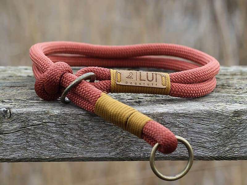 Retrieverhalsband Niendorf