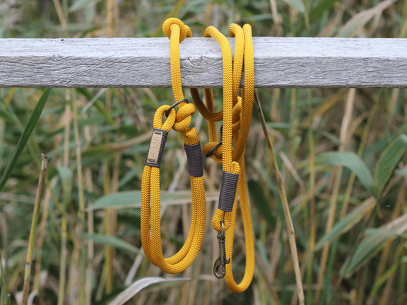 Retrieverleine Kappeln